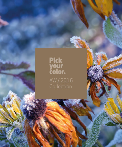 Lanzamiento colección Pick Your Color AW/2016