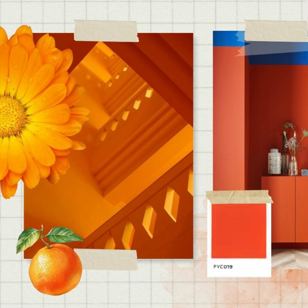 Color caléndula