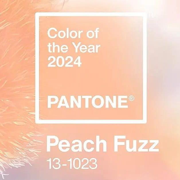 ¿Cuál es el color del año 2024?