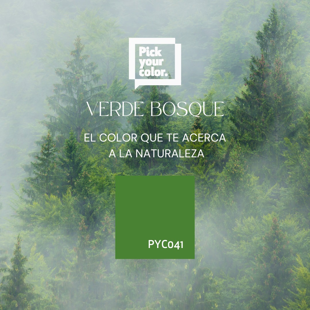 Color verde bosque