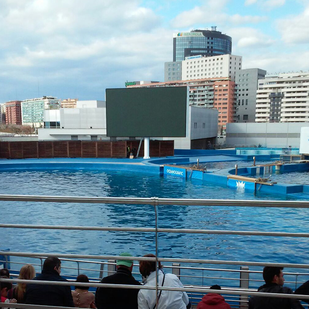 Delfinario del Oceanogràfic de València.