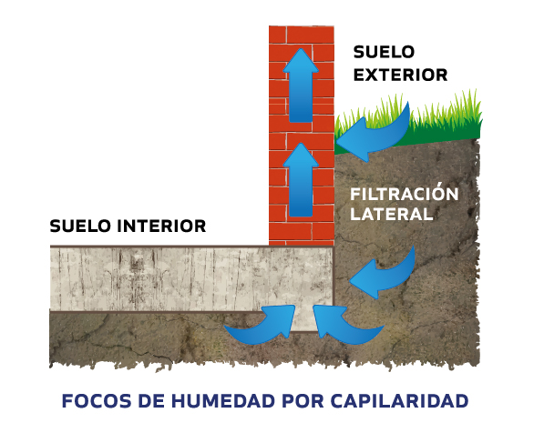 Focos de humedad por capilaridad